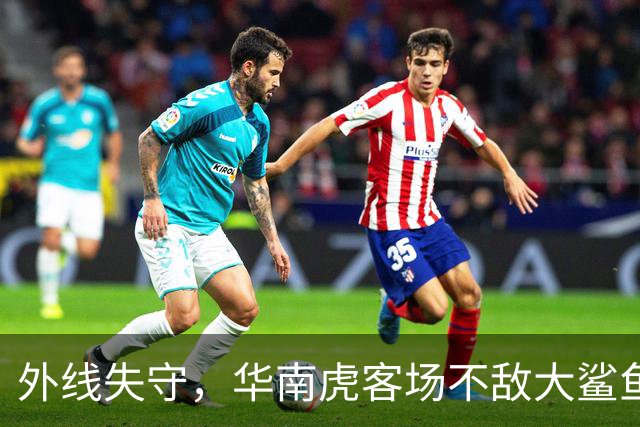 外线失守，华南虎客场不敌大鲨鱼