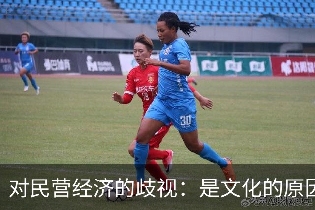 对民营经济的歧视：是文化的原因，还是意识形态的推动