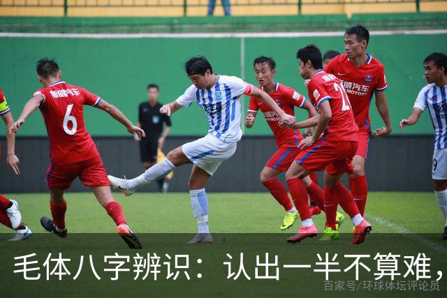 毛体八字辨识:认出一半不算难,读懂这三处笔意才是真功夫