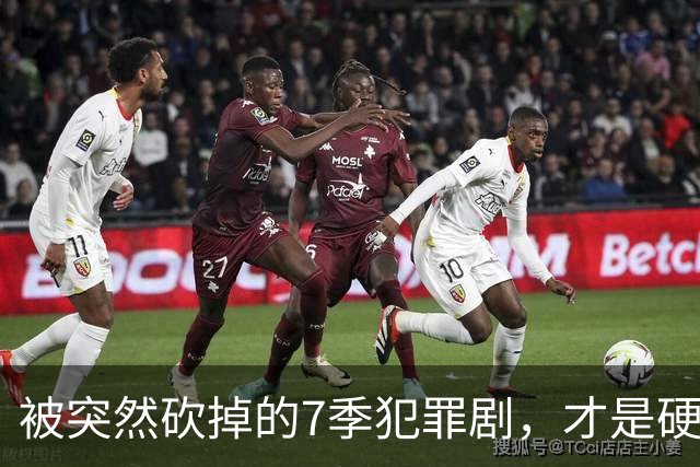 被突然砍掉的7季犯罪剧，才是硬汉剧该有的样子